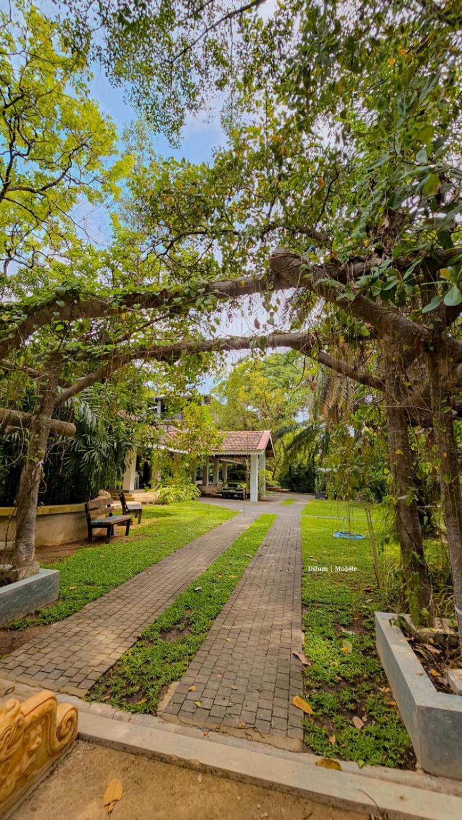 Ceylon Kingsmen Garden Hotel - Katunayake 尼甘布 外观 照片